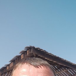 , 44 , 