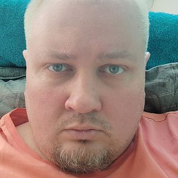 ������, �����, 41 ���