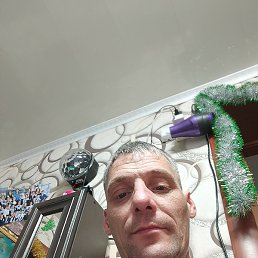 �������, �������, 41 ���