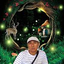 ���� �����, ��������, 52 ���� - ��������� 8 ������ 2024 � ������ ���� ����������