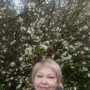 ���� �����, ����, 56 ��� - ��������� 21 ����� 2026 � ������ ���� ����������