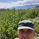 ���� ������, ������, 50 ��� - ��������� 8 ������ 2024 � ������ ���� ����������