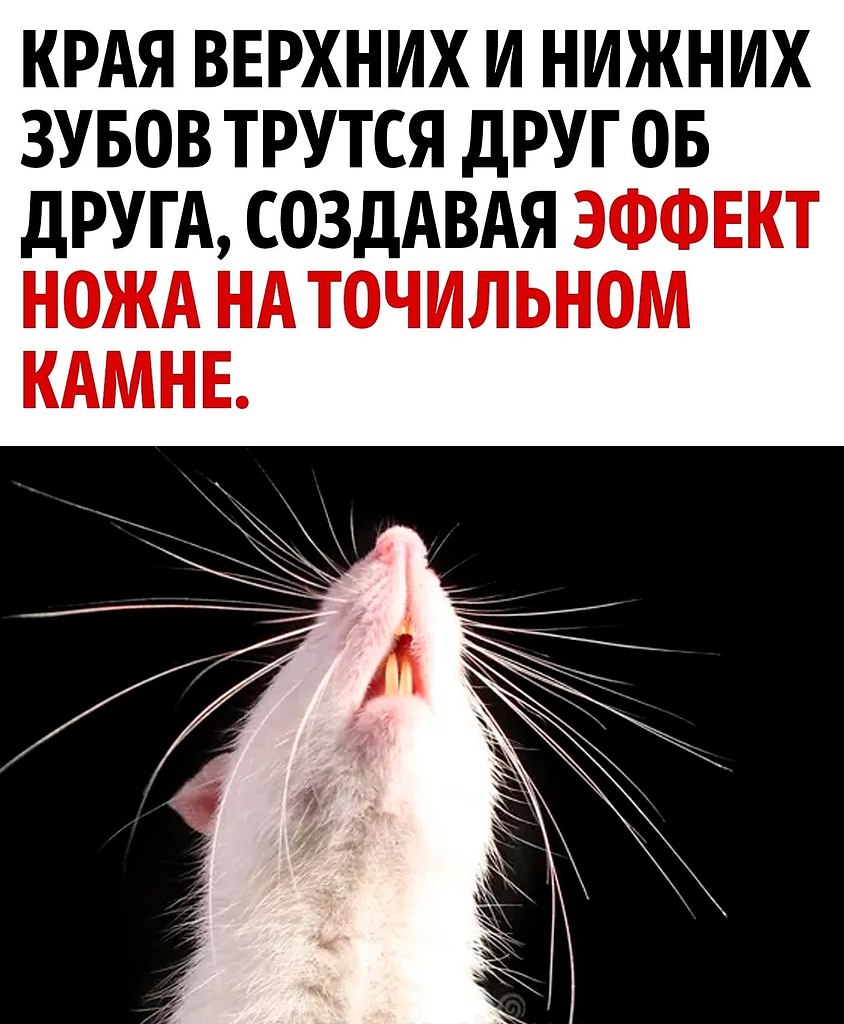      - 3