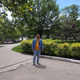 , 34, 