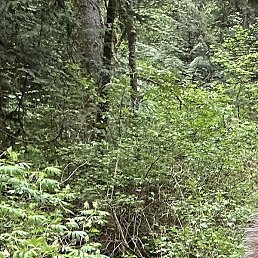 �������, �����������, 47 ���