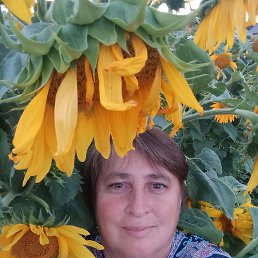 , 45, -