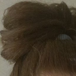 ���������, ����, 33 ����