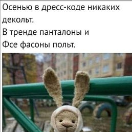 �����, ����, 74 ����