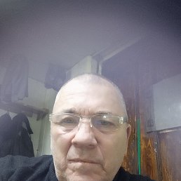 , 53 , 