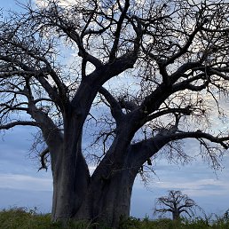 ���� �������, ��������� - ��������� 25 ������� 2024