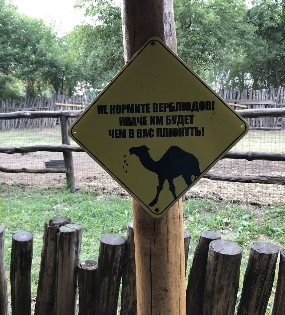 ������� �� ������ - 2