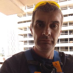 , 41, 