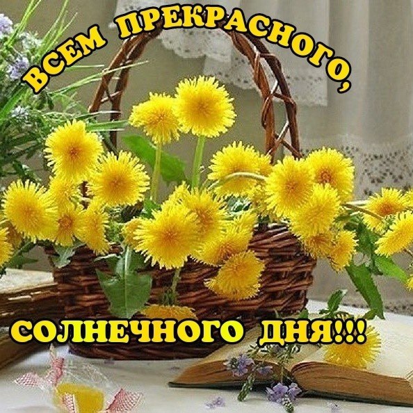   - 28  2025  14:44