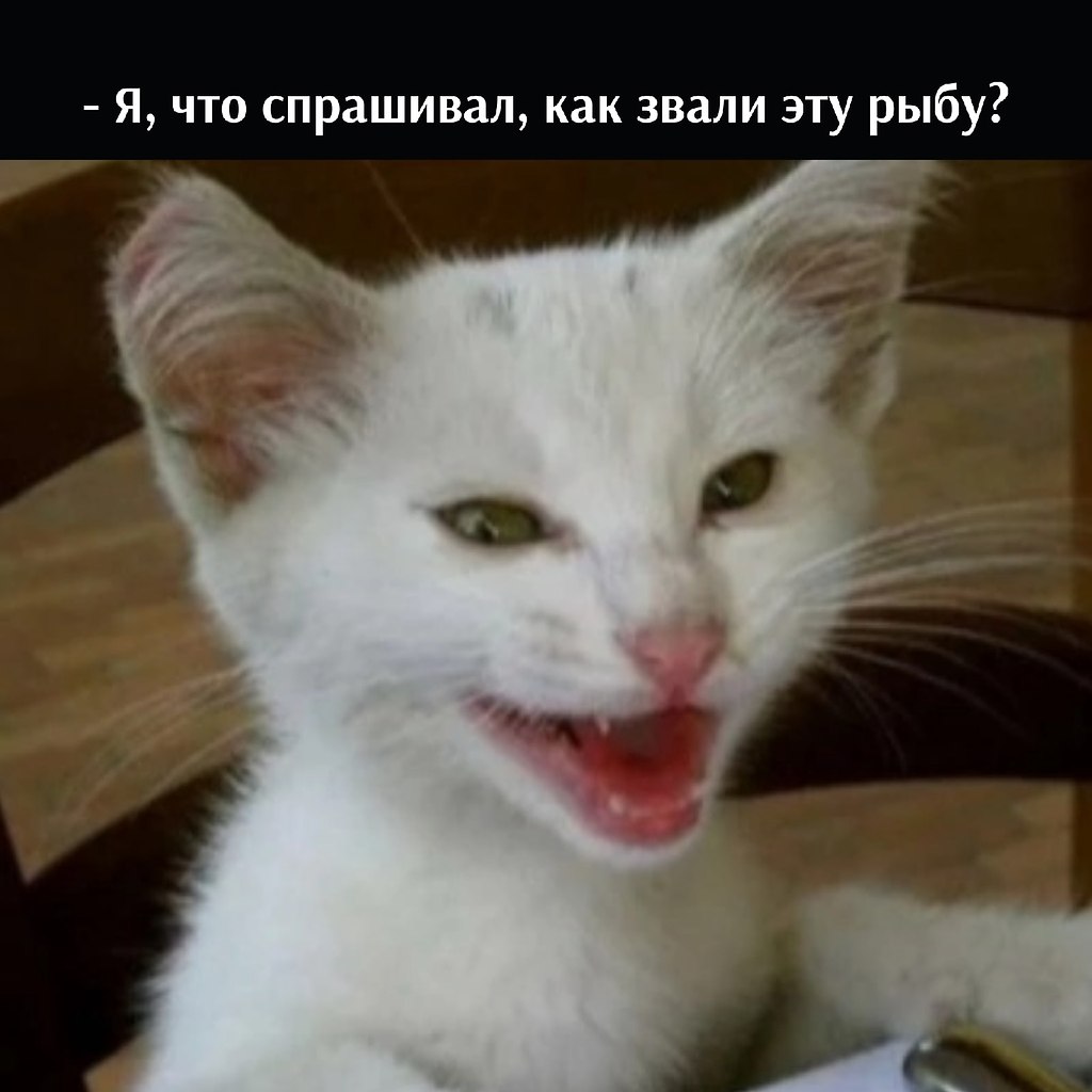       - 7  2025  16:10 - 4