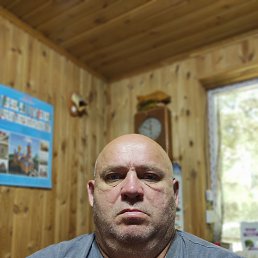 , 58 , 