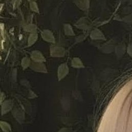 ����, ���������, 20 ���