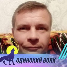 , , 46 