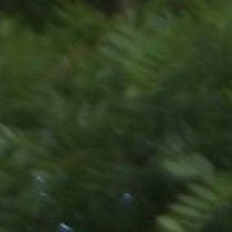 ���, ������, 51 ���