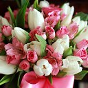 ���� �����, ������� - ��������� 8 ����� 2025 � ������ ���� ����������