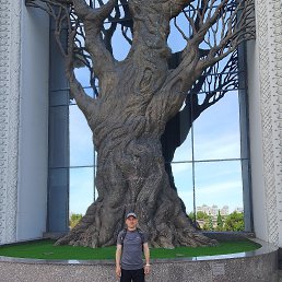 ������, 47 ���, ������