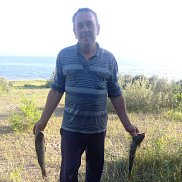 , 51 , 