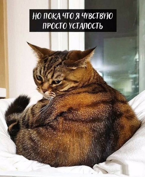       - 19  2025  17:22 - 2