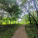 ���� ���������, ������, 37 ��� - ��������� 3 ������� 2025 � ������ ���� ����������