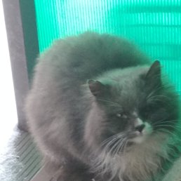 ���� ����, �����, 34 ���� - ��������� 11 ����� 2026