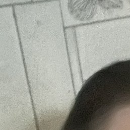 , , 43 