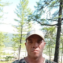 ����, ������, 41 ���