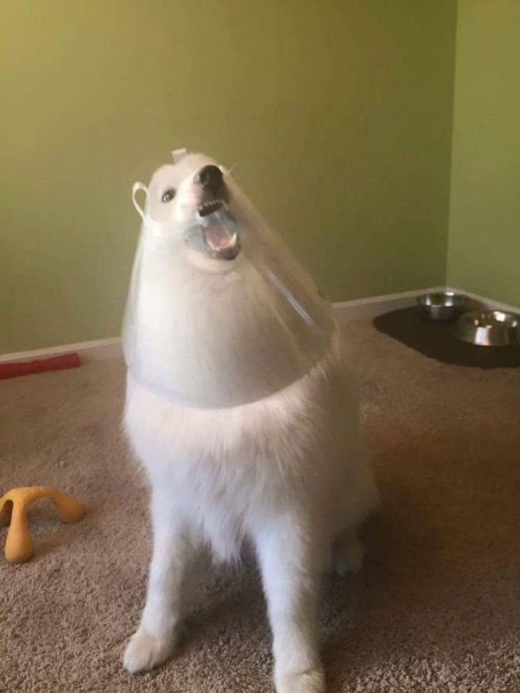 ,      