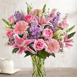 Alexandre Correa, , 61 