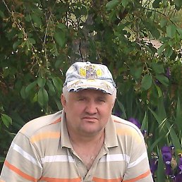 , 61 , 