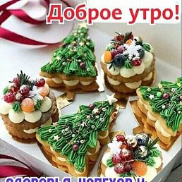 ���� ����, ������, 72 ���� - ��������� 23 ������� 2023