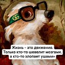 ���� �������, ����� - ��������� 7 ��� 2026 � ������ ������ ��������