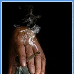 ���� ���������, ����������, 66 ��� - ��������� 5 ������ 2026