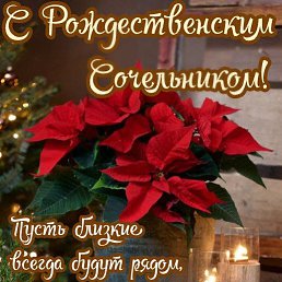 ���� �������, ��������, 68 ��� - ��������� 6 ������ 2024