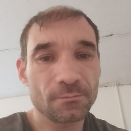 ����, ������, 41 ���