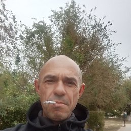  , 46 , 