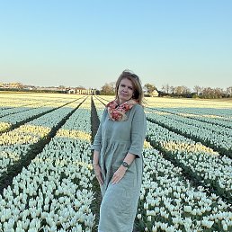 �����, ������, 55 ���