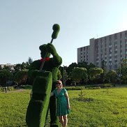 , 58 , 