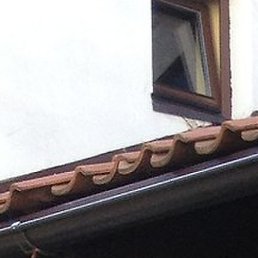 �����, ������, 45 ���