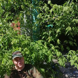 ���, ������, 65 ���