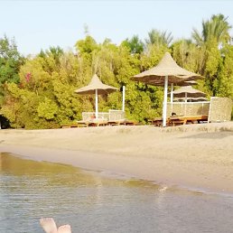 ���� ��������, �����, 61 ��� - ��������� 1 ������� 2024