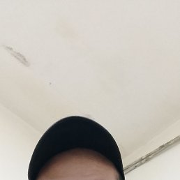 , 28 ,  