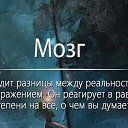 ���� T�����, ��������, 53 ���� - ��������� 28 ������ 2024 � ������ ���� ����������