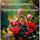 ���� �������, �������� - ��������� 24 ������� 2026 � ������ ������ ��������