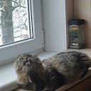 ���� �����, ������� �������� - ��������� 27 ������ 2025 � ������ ������ ��������