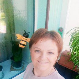 , 53, 