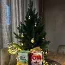 ���� ������, ������, 38 ��� - ��������� 7 ������� 2024 � ������ ������ ��������